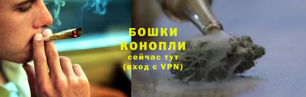 стаф Беломорск