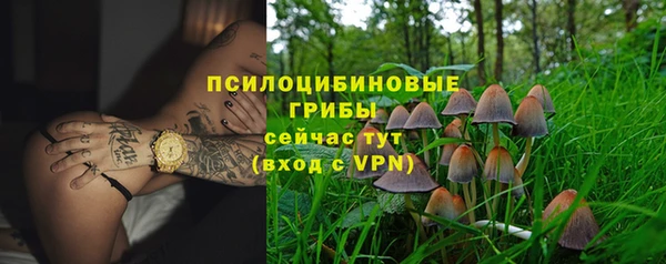 крисы Белокуриха