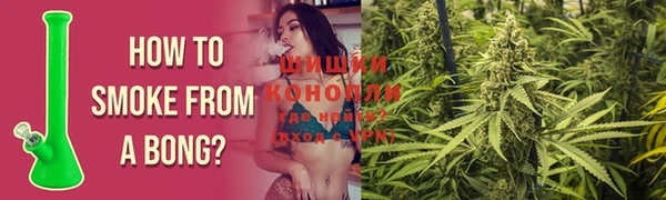 стаф Беломорск
