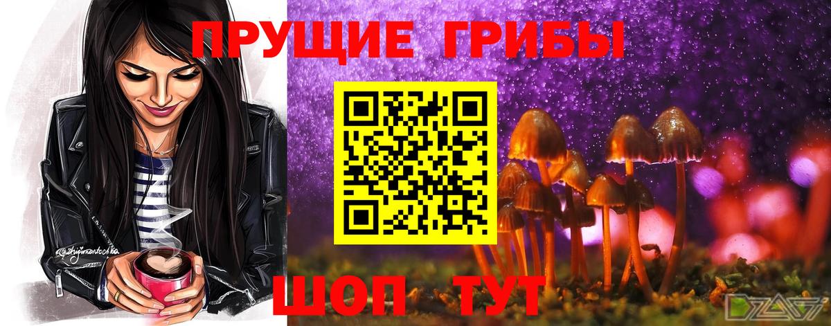 Галлюциногенные грибы мухоморы Малоярославец